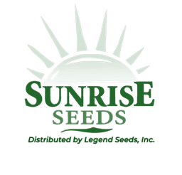 Logo 15